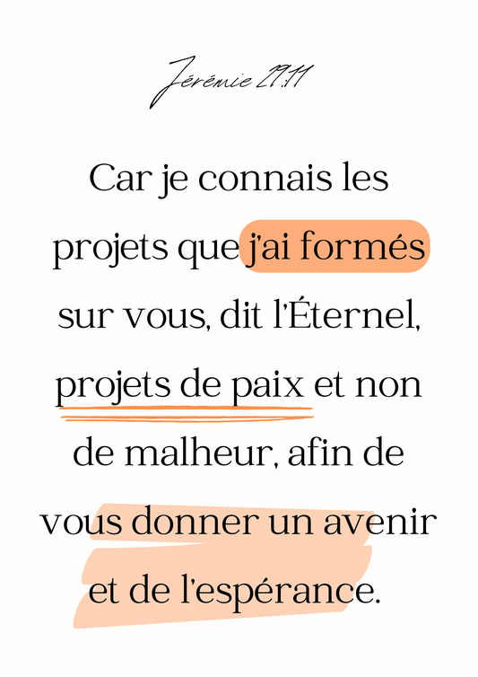 Affiche Jérémie 29:11
